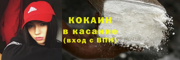 PSILOCYBIN Вяземский