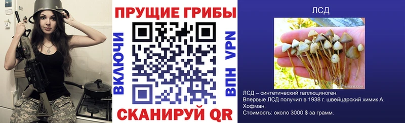 Псилоцибиновые грибы Psilocybine cubensis Анапа