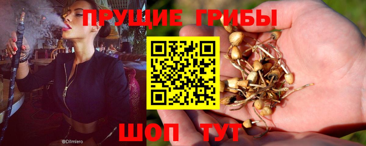 Псилоцибиновые грибы Magic Shrooms Анапа